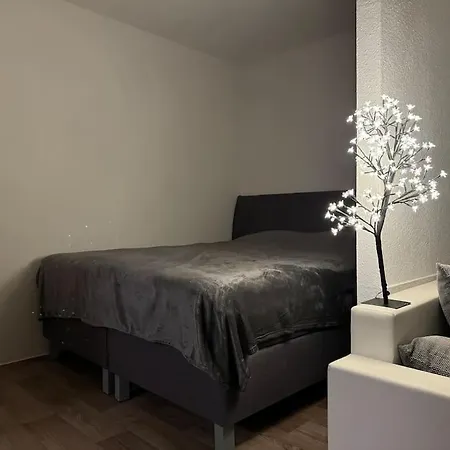 Ferienwohnung Wohnung Innenstadt Am Burgsee Bad Salzungen Exterior photo