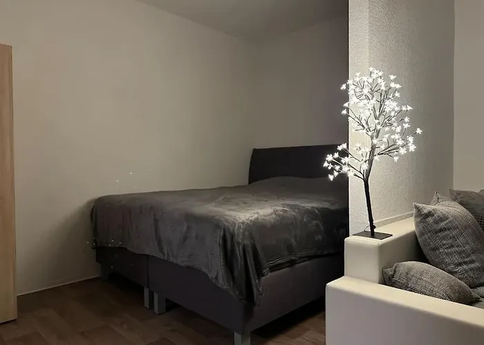 Ferienwohnung Wohnung Innenstadt Am Burgsee