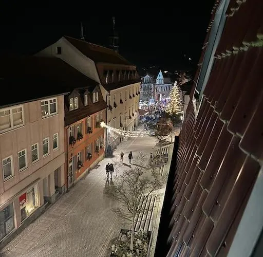 Ferienwohnung Wohnung Innenstadt Am Burgsee